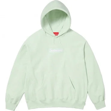 BOX LOGO HOODED SWEATSHIRT LIGHT GREEN